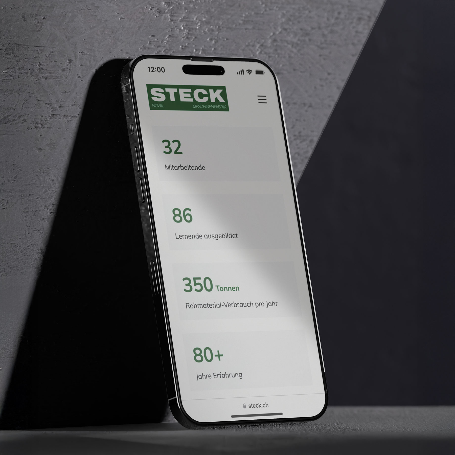 Ferdinand Steck Maschinenfabrik AG